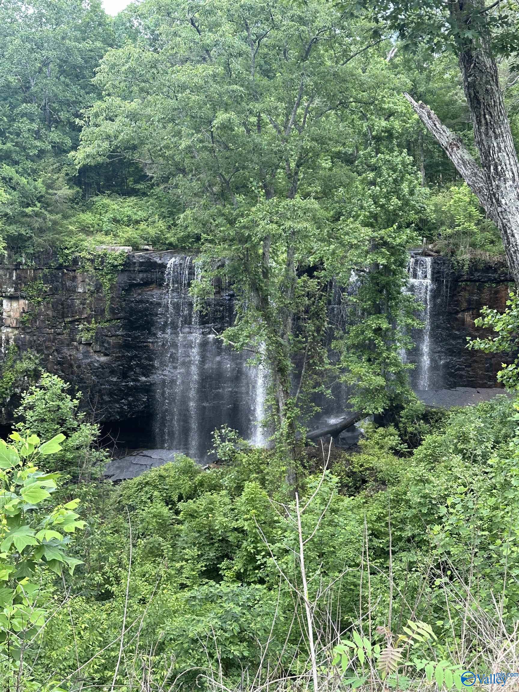 Lot 44 Savannah Circle