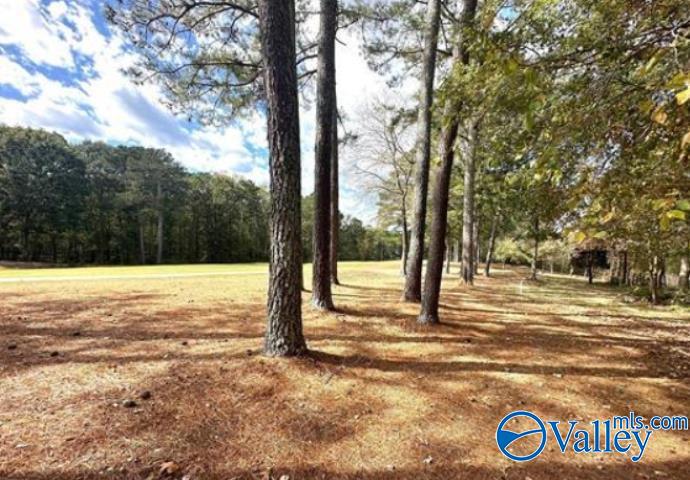 Lot 44 Savannah Circle
