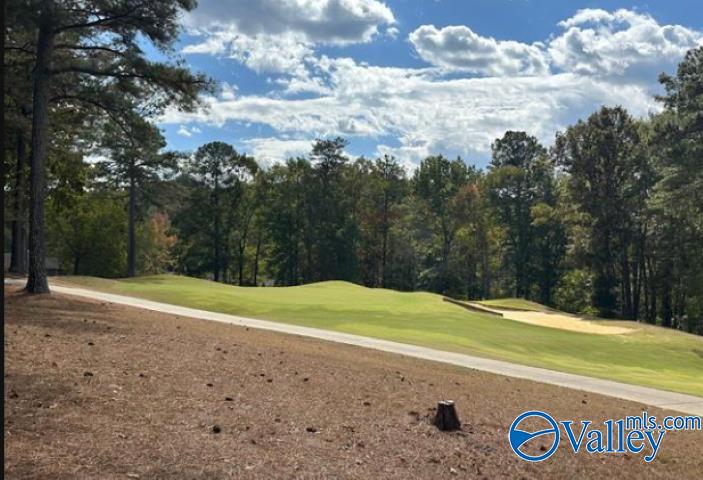 Lot 44 Savannah Circle