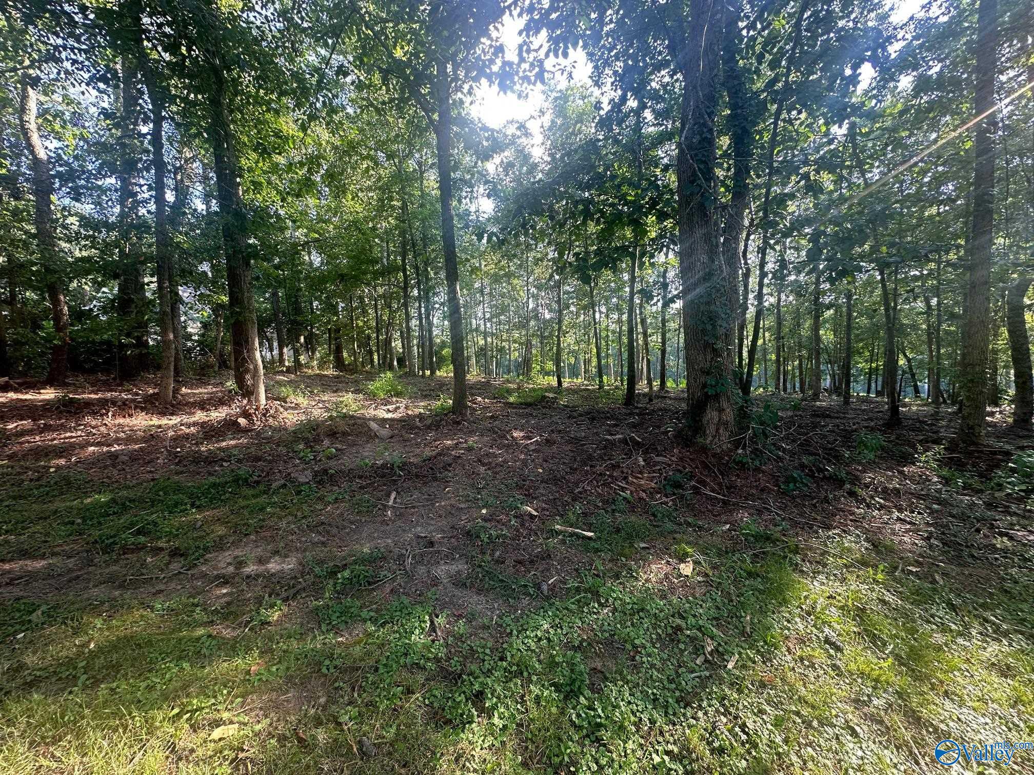 Lot 44 Savannah Circle