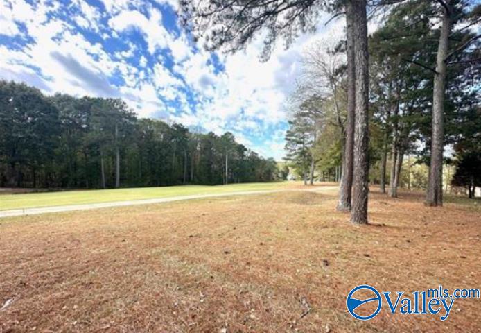Lot 44 Savannah Circle