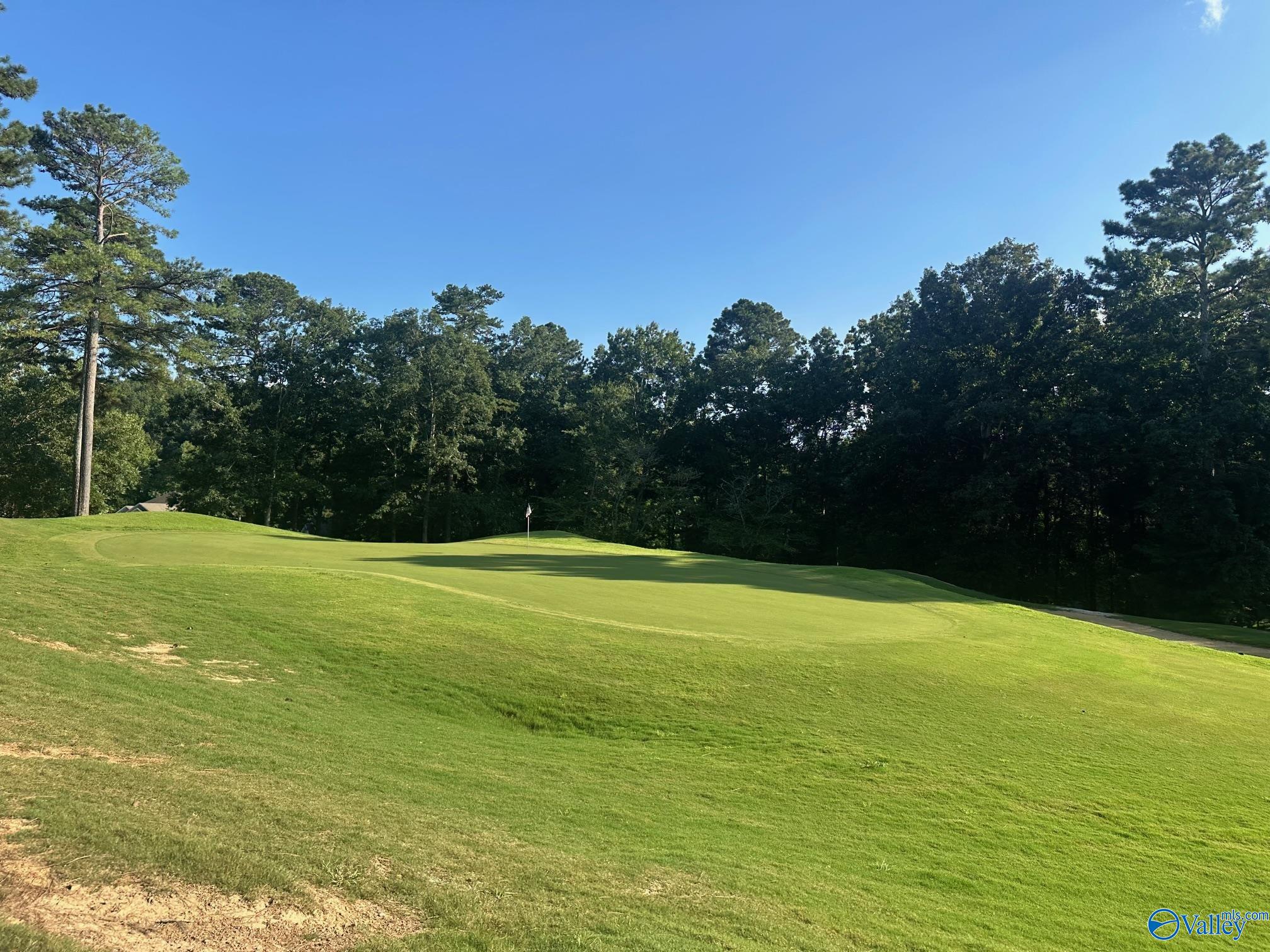 Lot 44 Savannah Circle