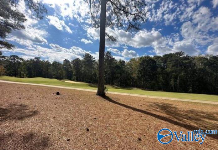 Lot 44 Savannah Circle