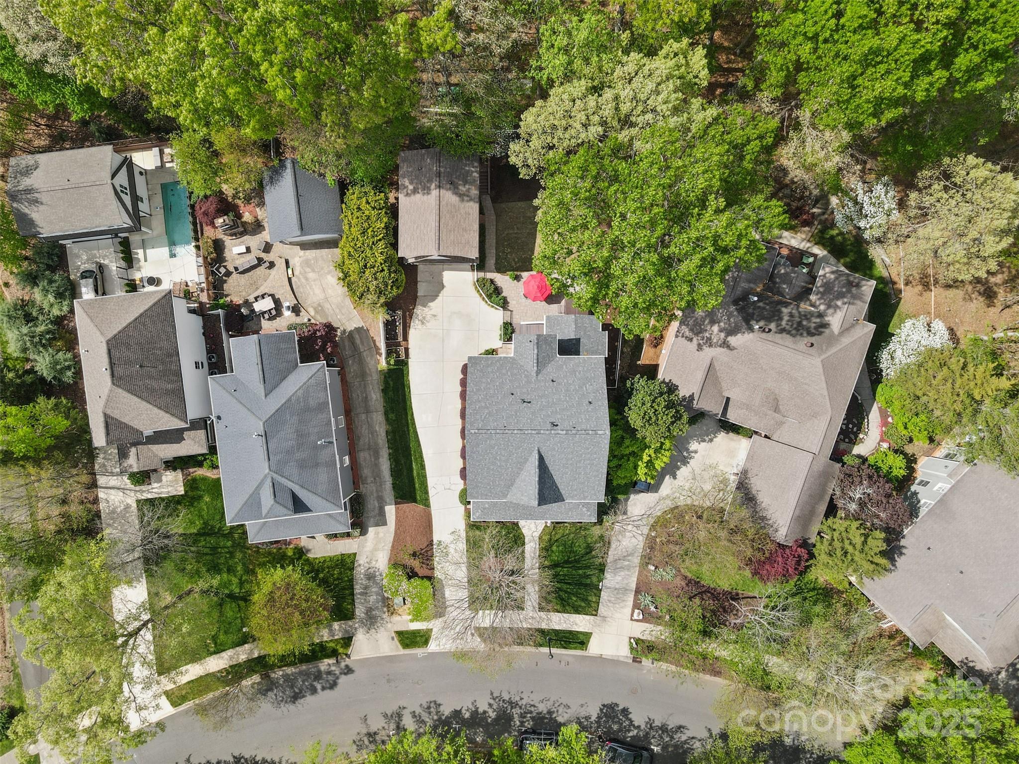 2569 Lower Assembly Drive