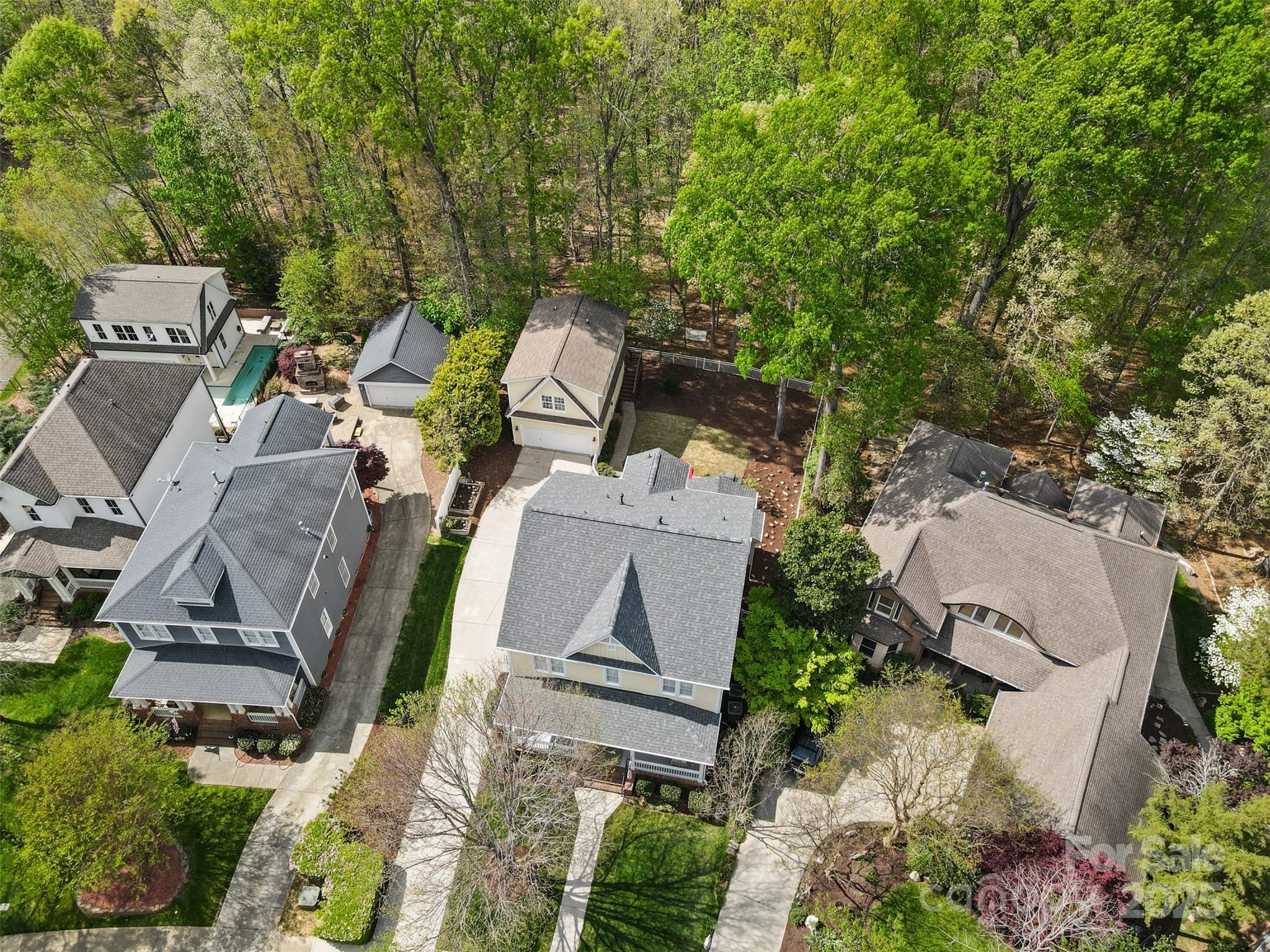 2569 Lower Assembly Drive