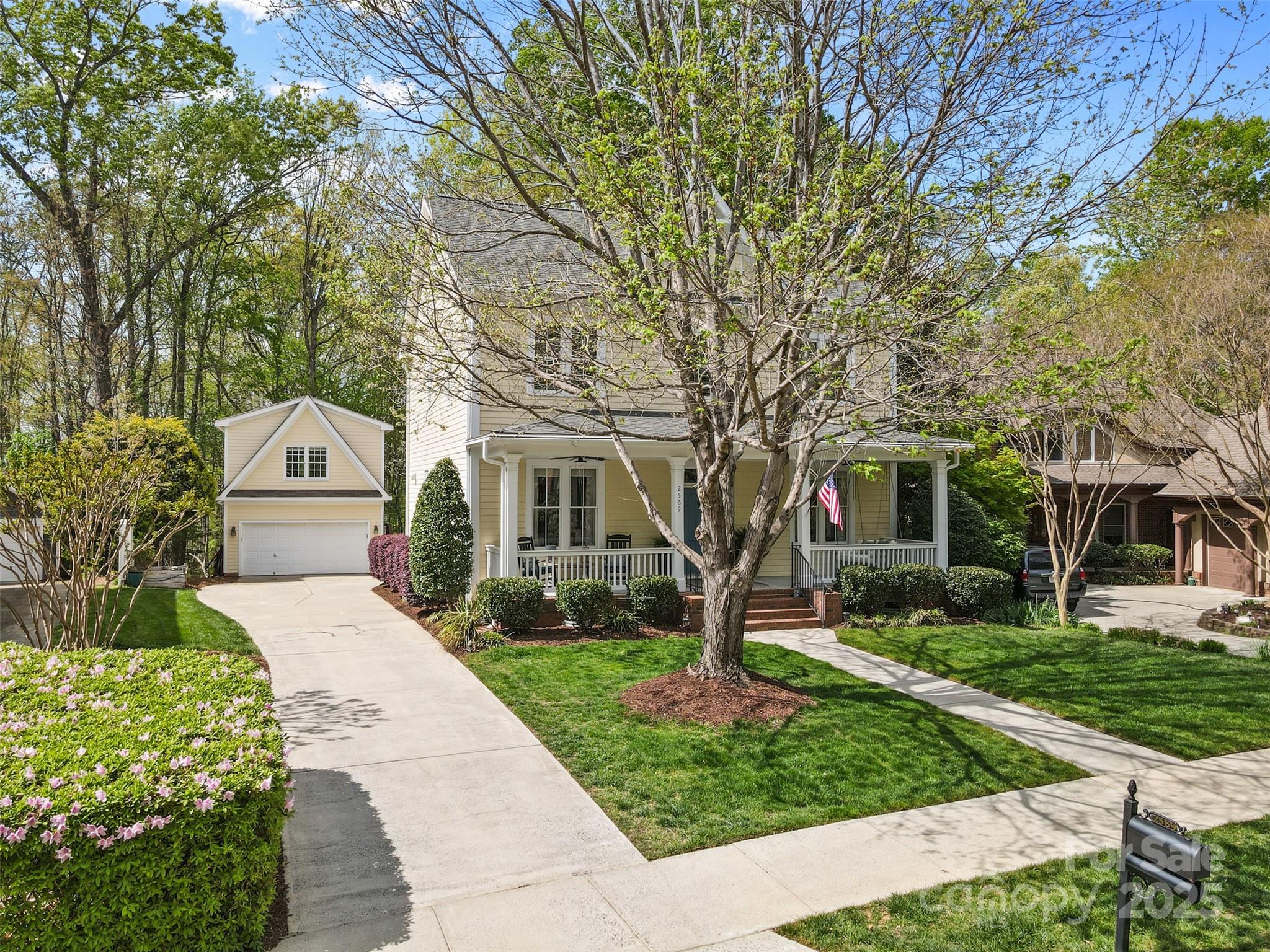 2569 Lower Assembly Drive