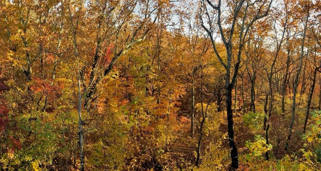 509 Crested Hawk Ridge