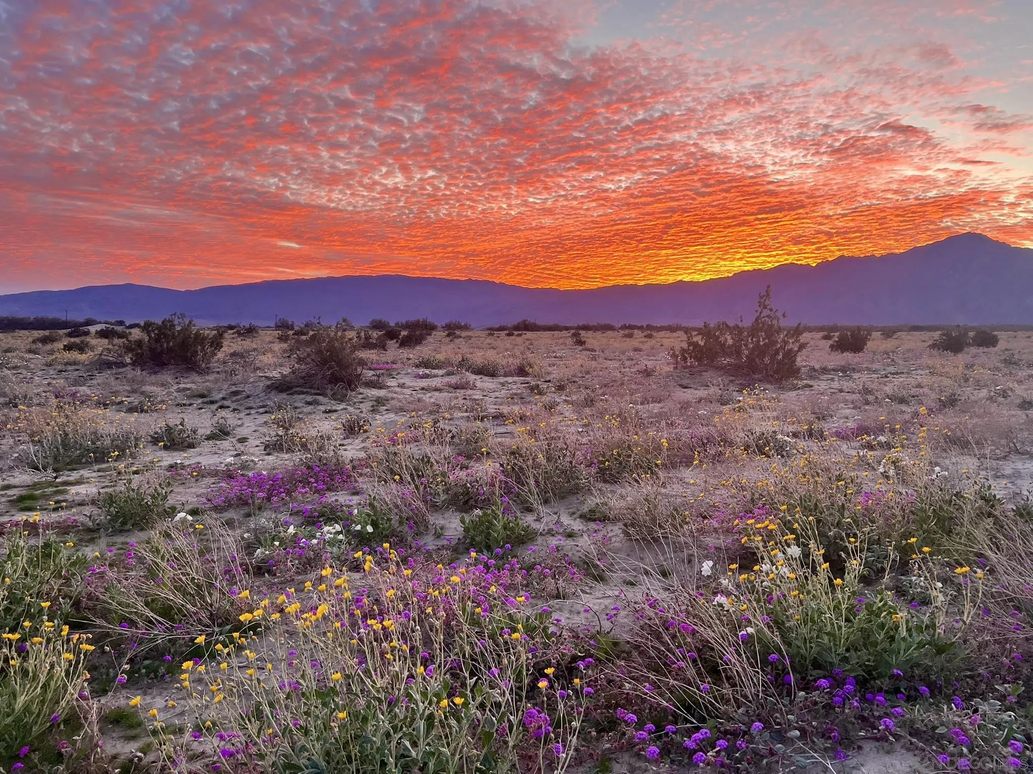 0000 Pointing Rock Unit 219