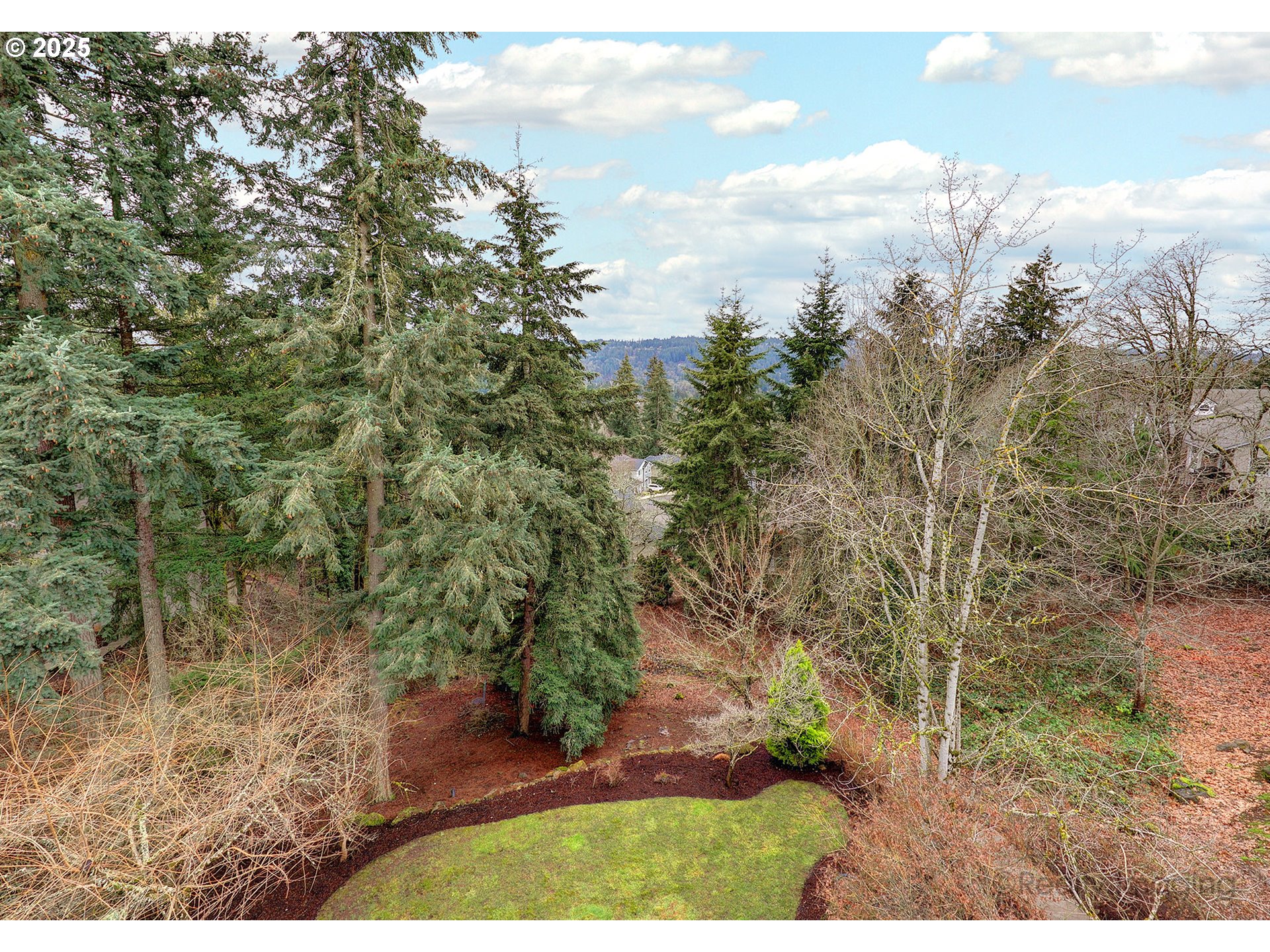 2050 ALPINE DR