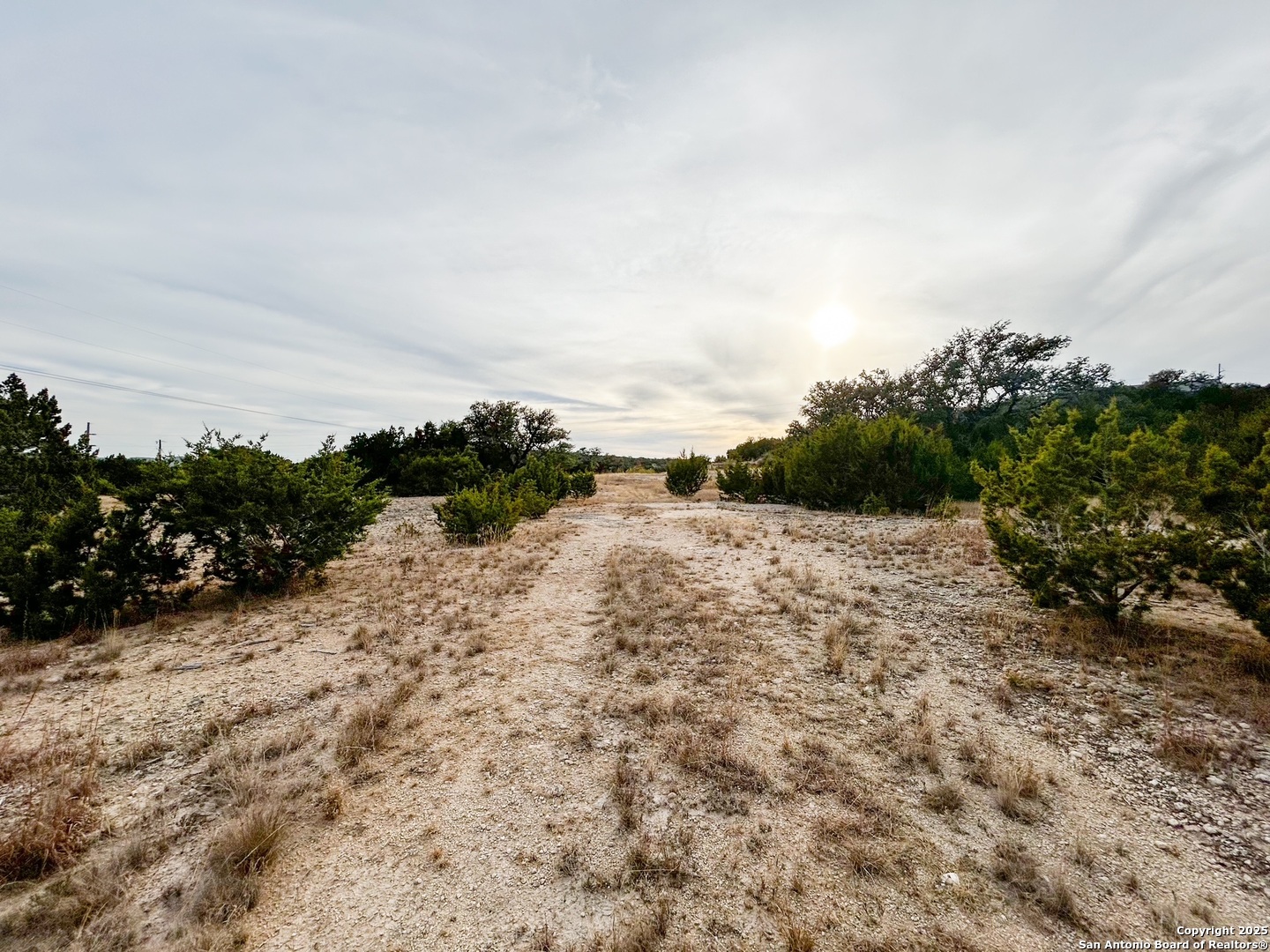 359 Bear Springs Trail