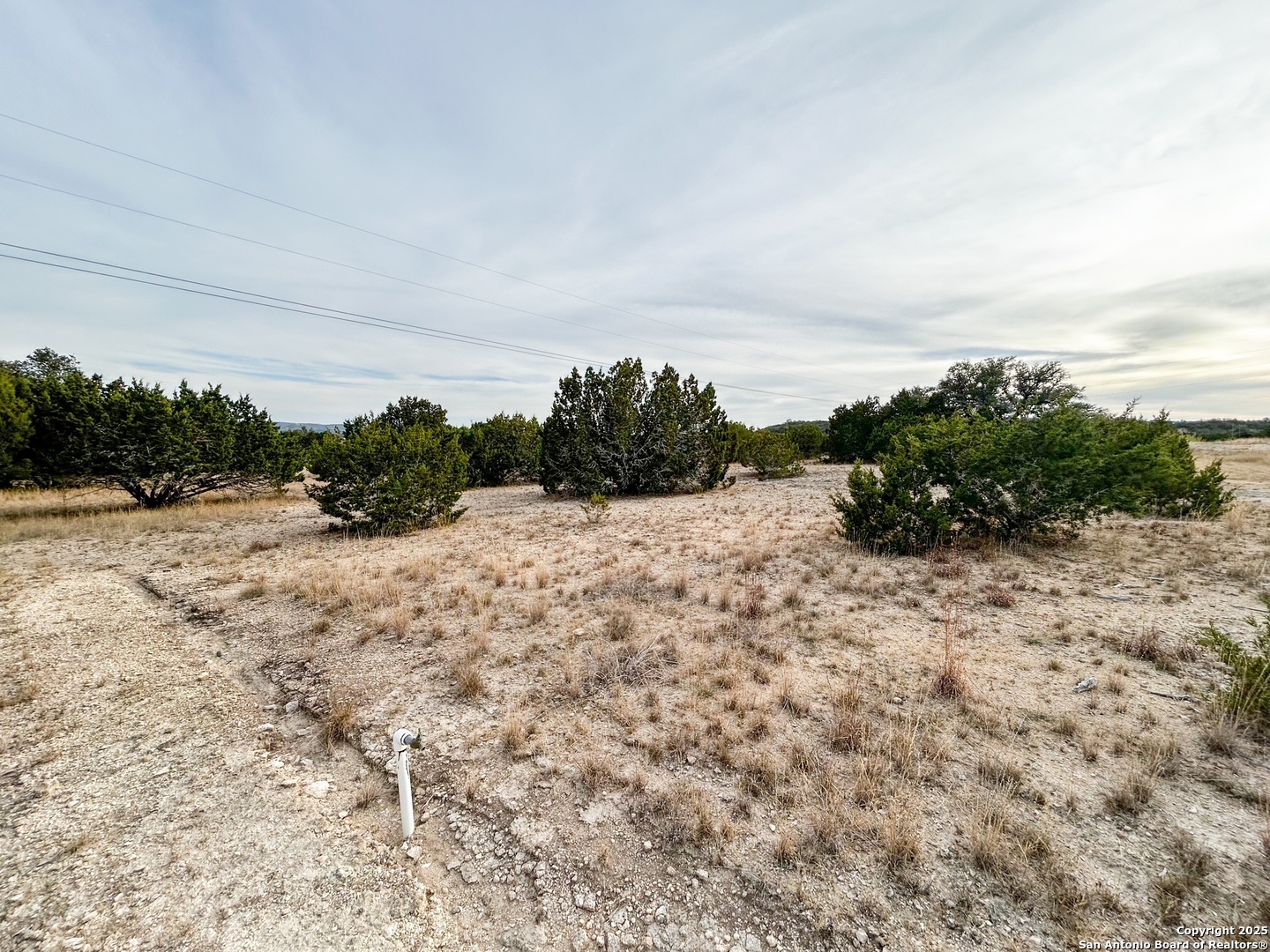 359 Bear Springs Trail