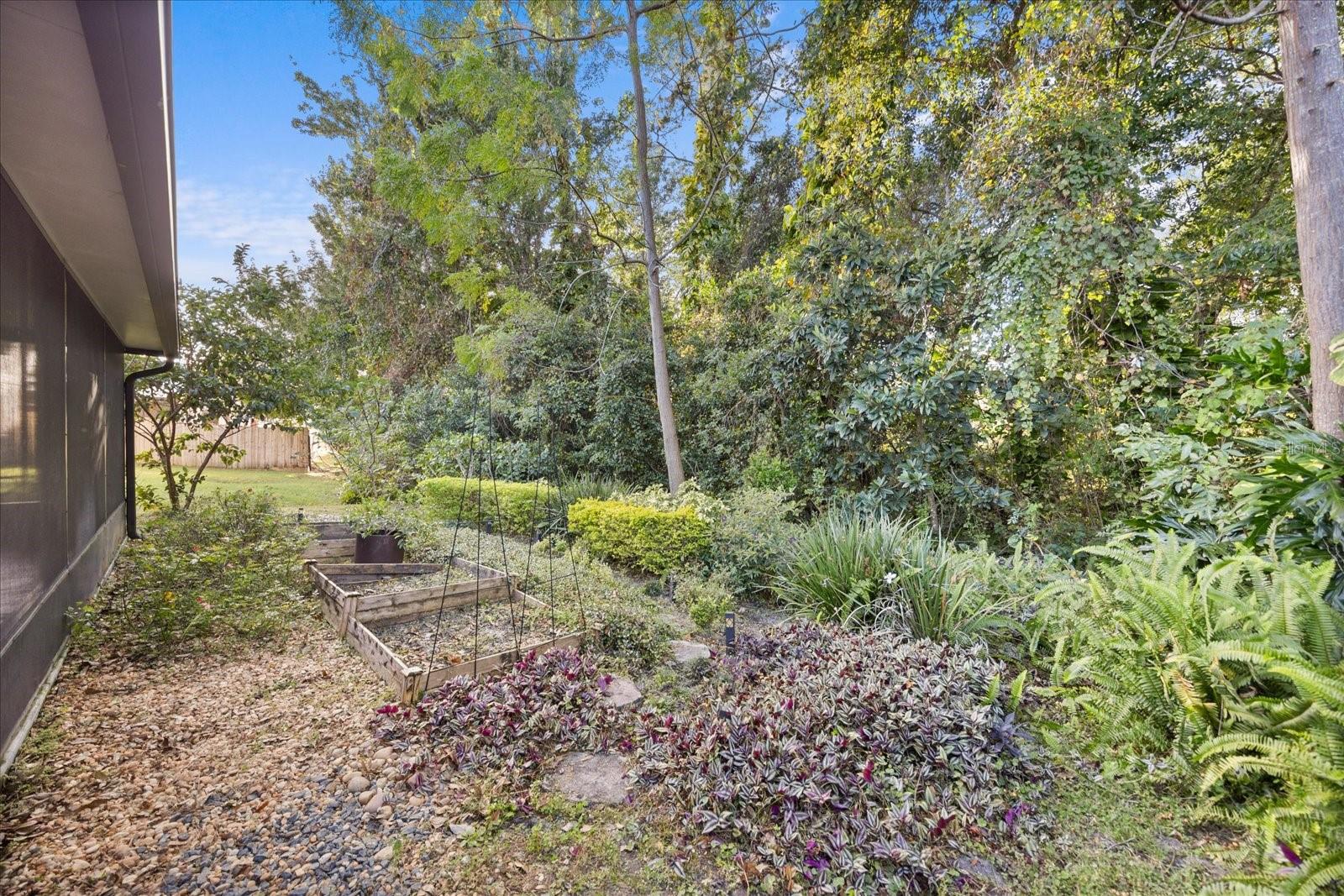 407 MORNING GLORY DR