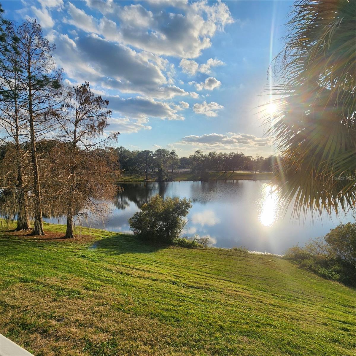 2516 GRASSY POINT DR #206