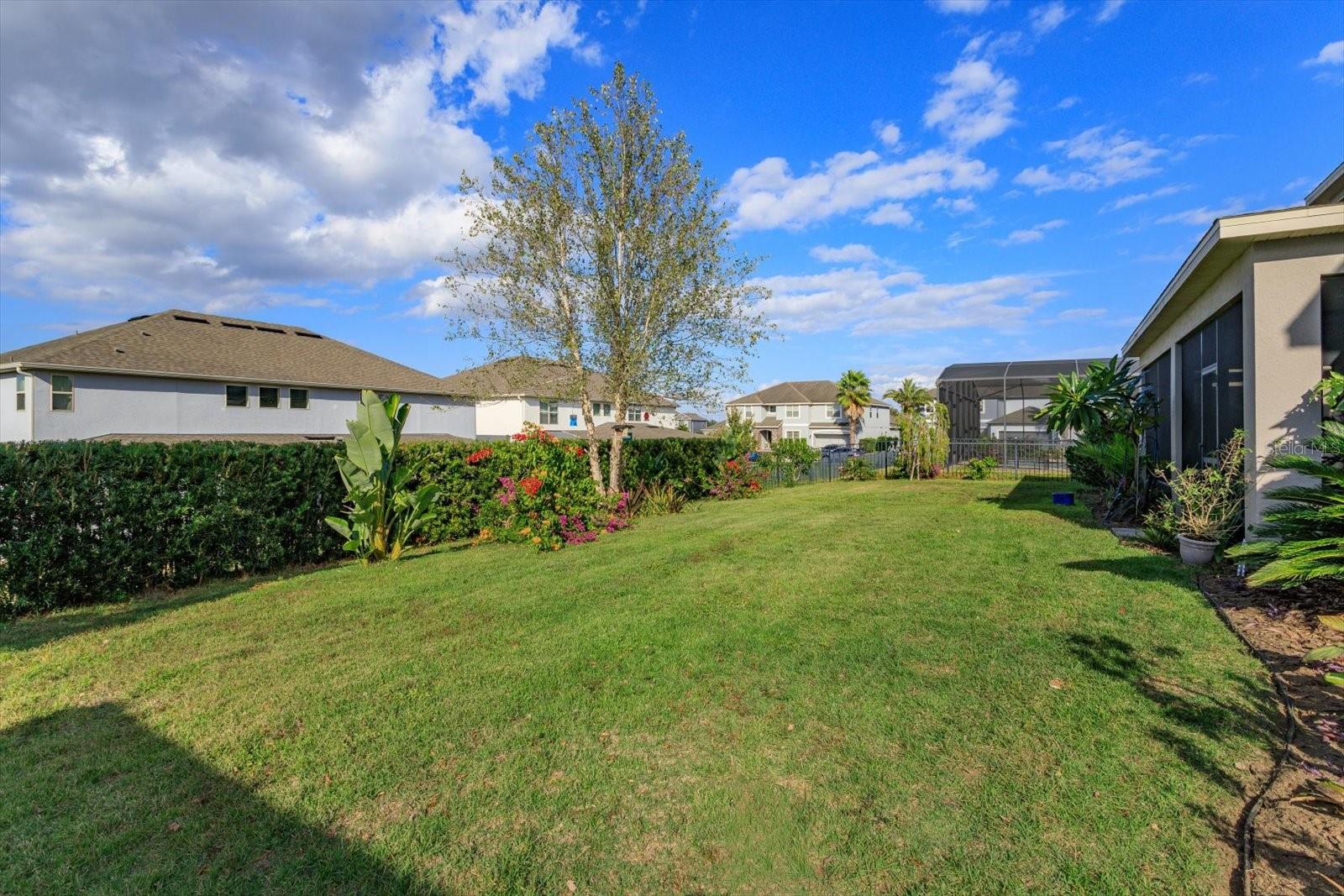 2376 TIMBERHILL CT