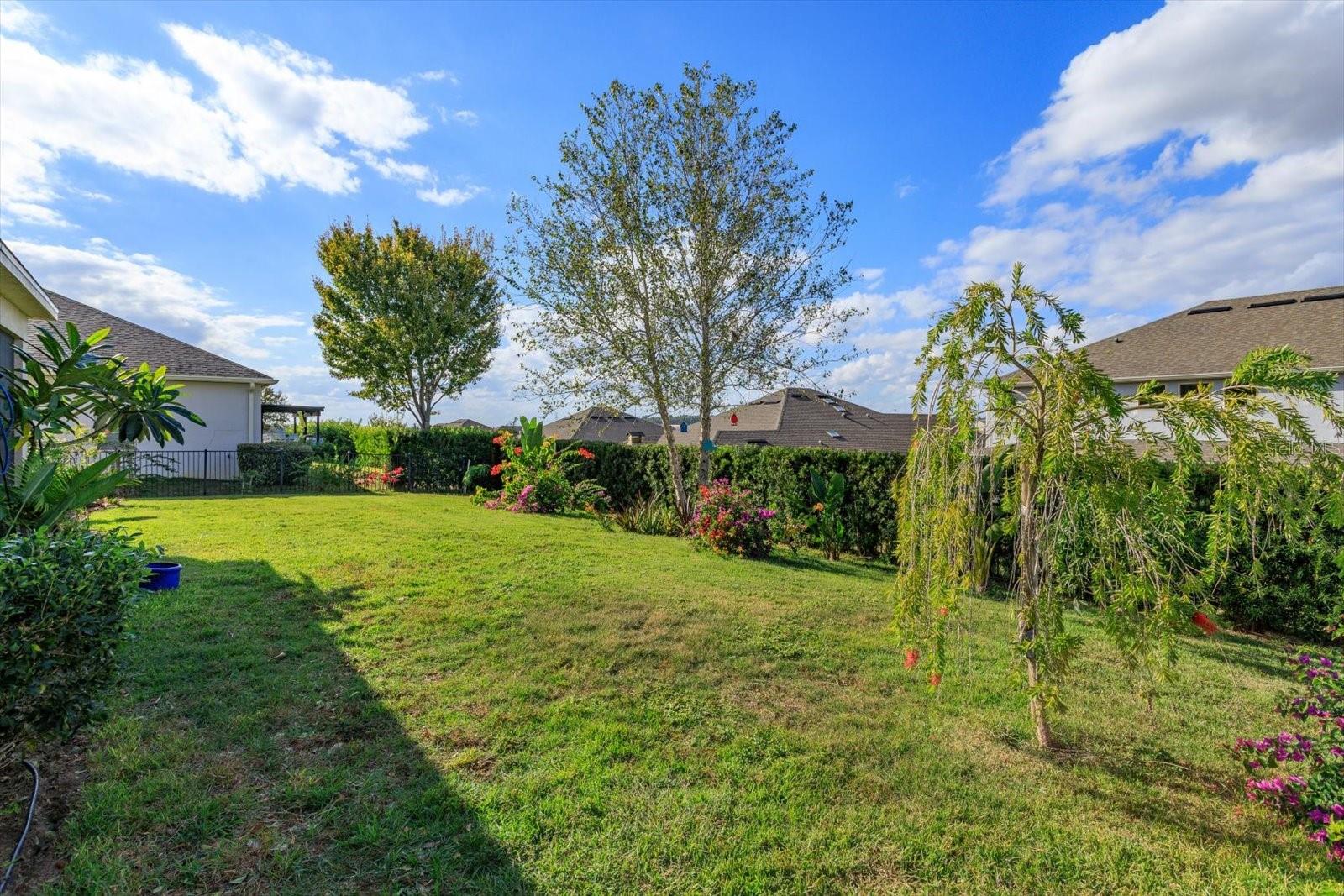 2376 TIMBERHILL CT