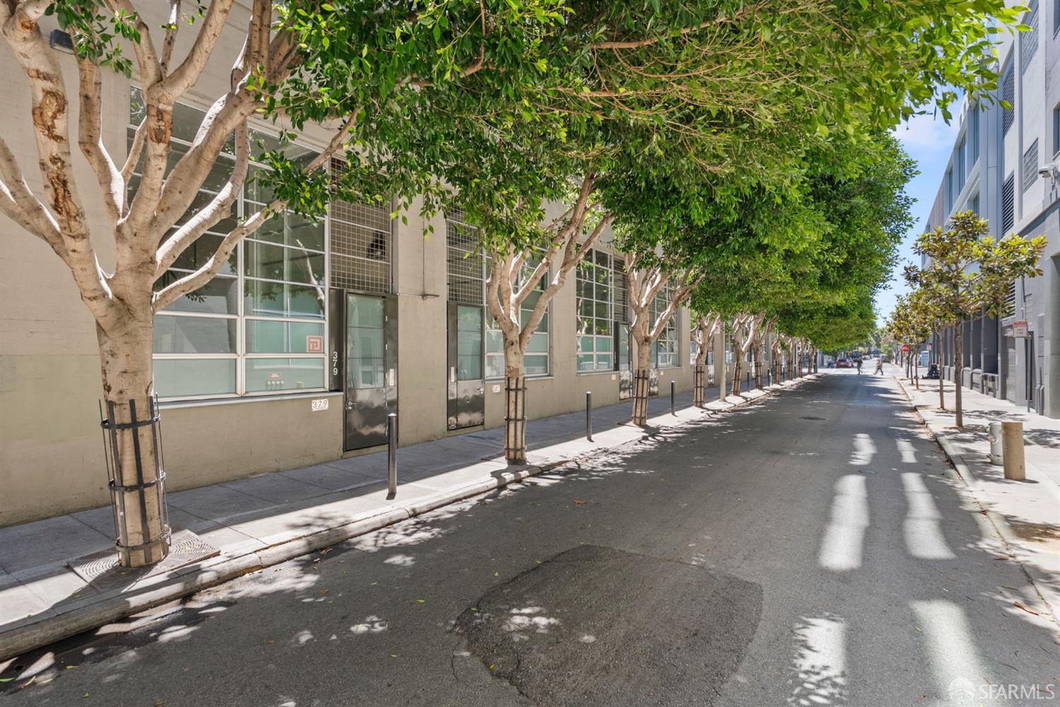 245 5th Street # 103
