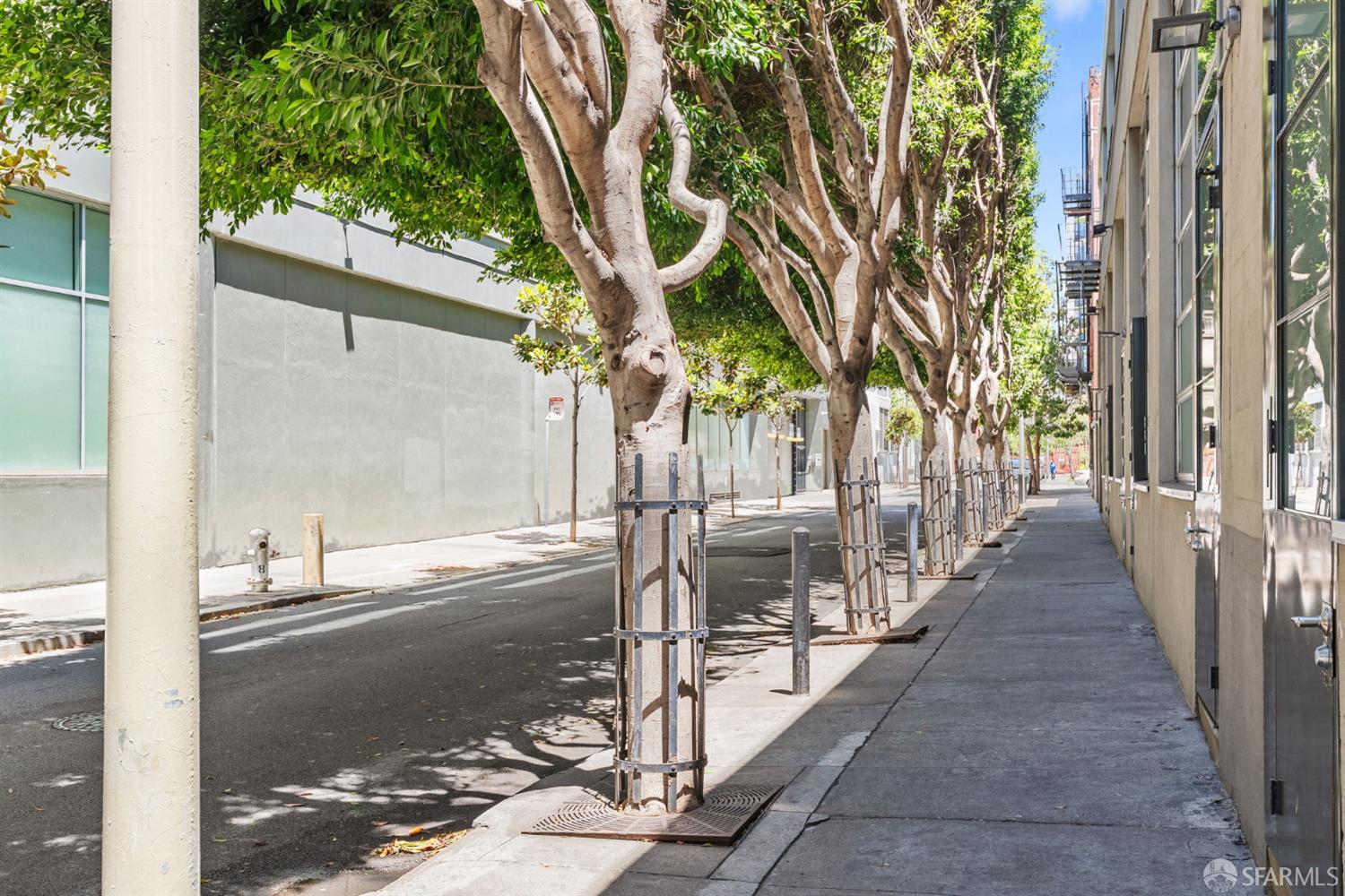 245 5th Street # 103