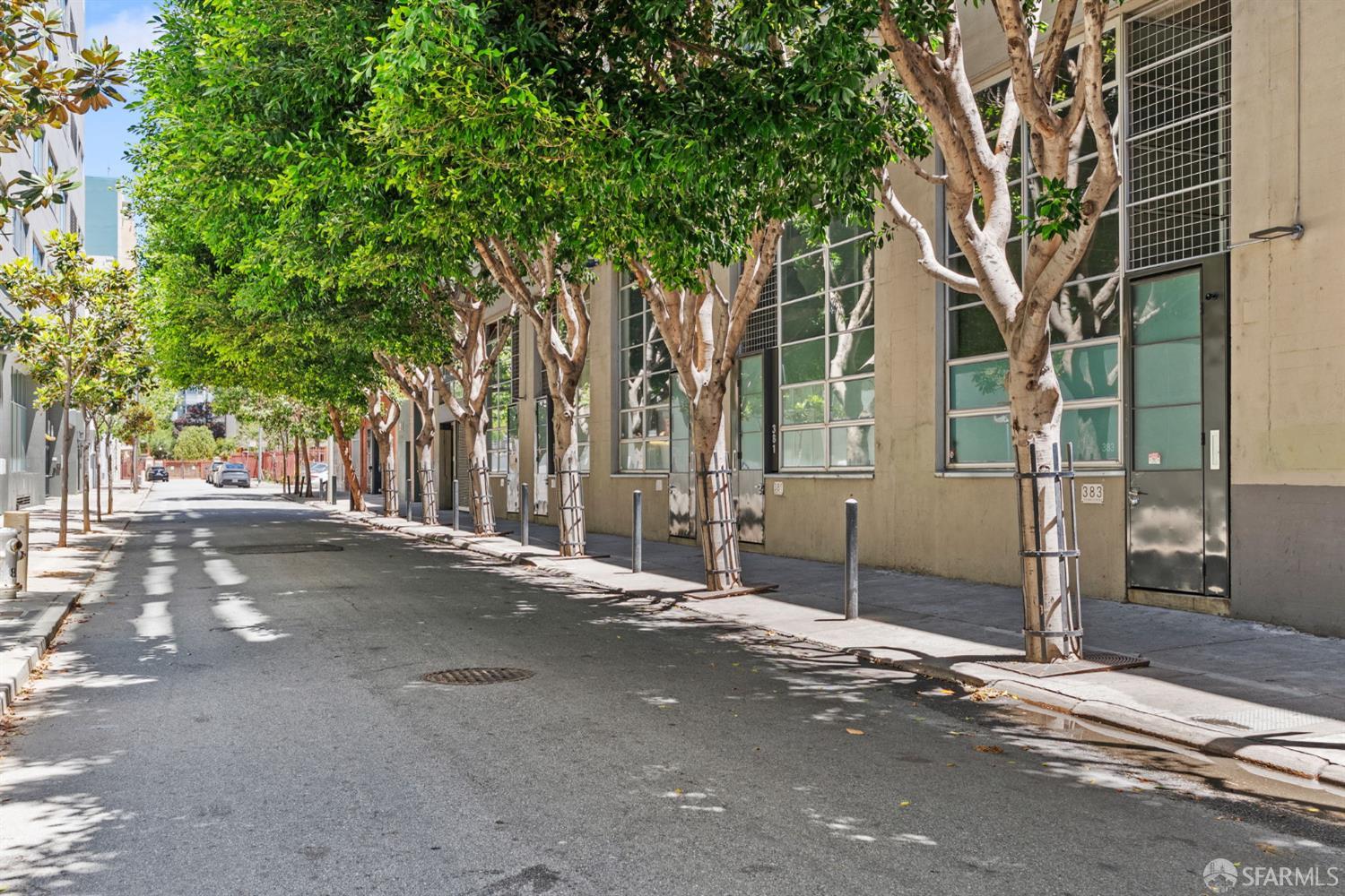 245 5th Street # 103