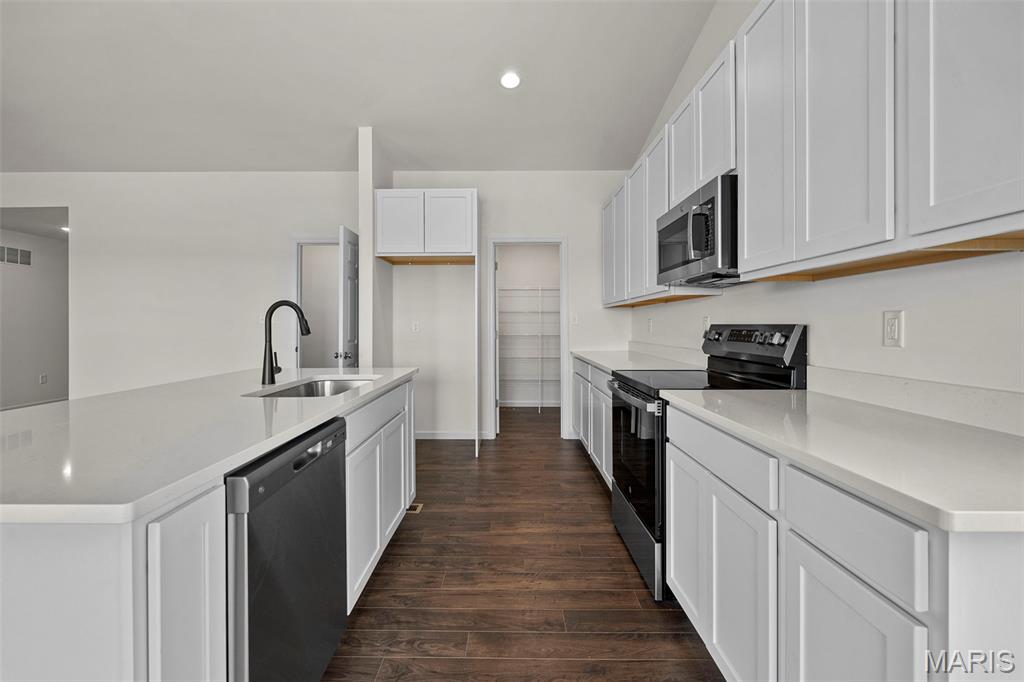 5649 Sun Bear Drive