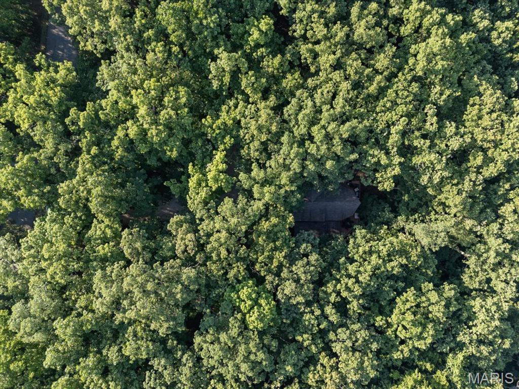 2506 Alpine Woods Drive