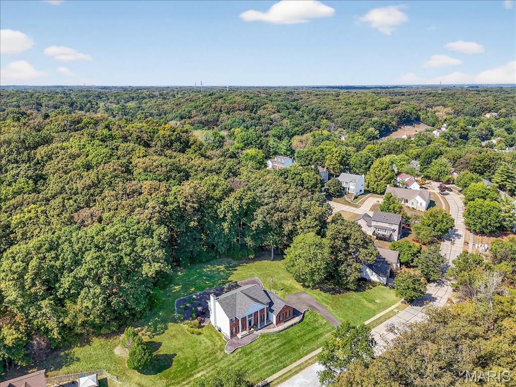 539 McBride Pointe Drive