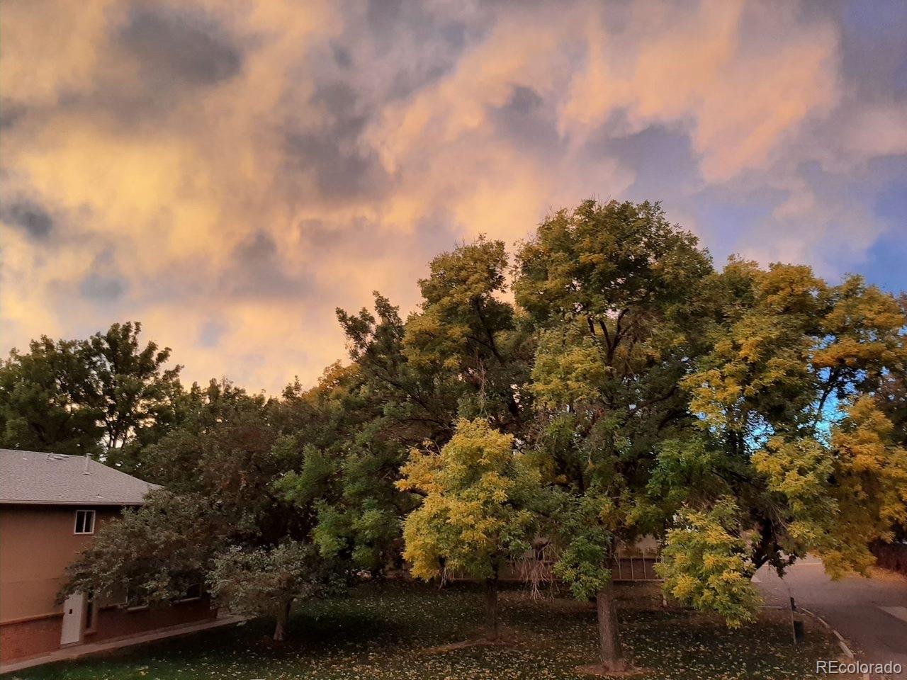 7309 W Hampden Avenue Unit: 4304