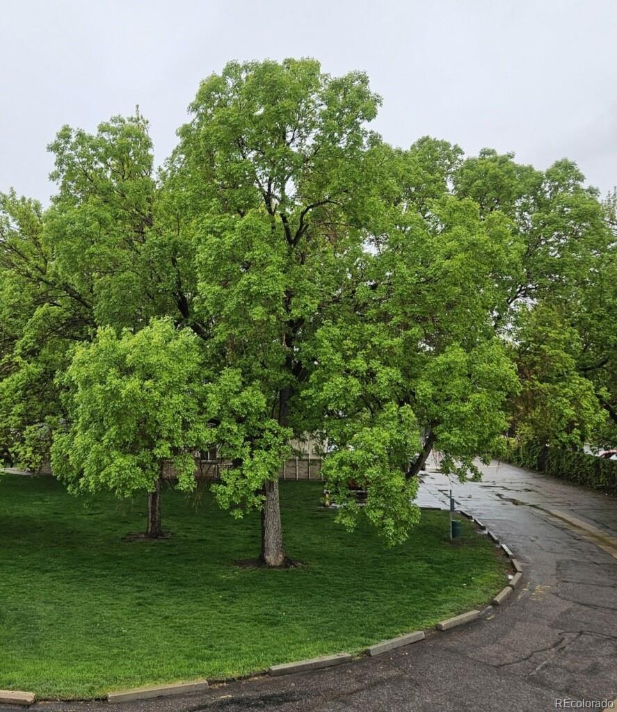 7309 W Hampden Avenue Unit: 4304