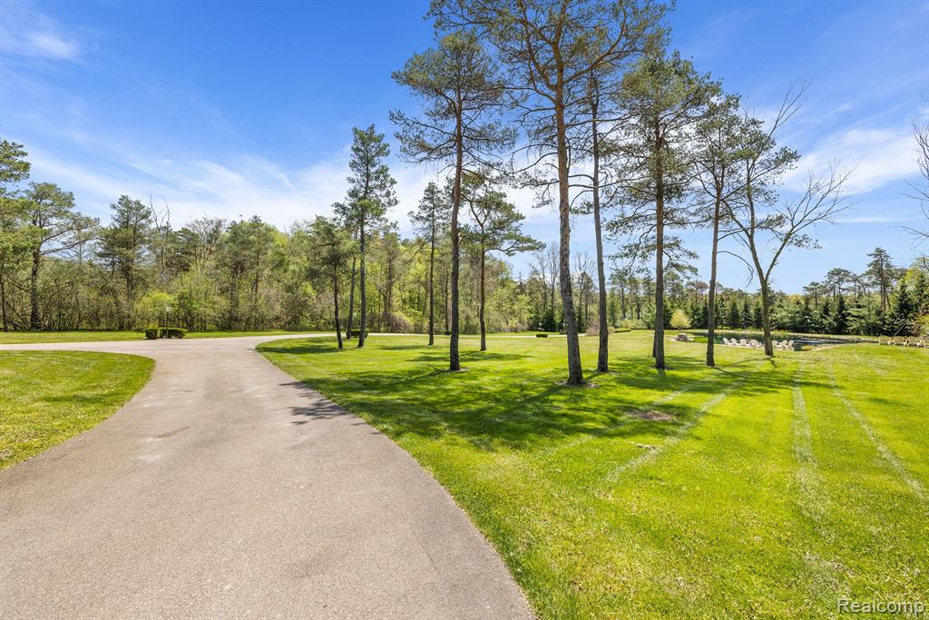 920 Pine Needle Trail
