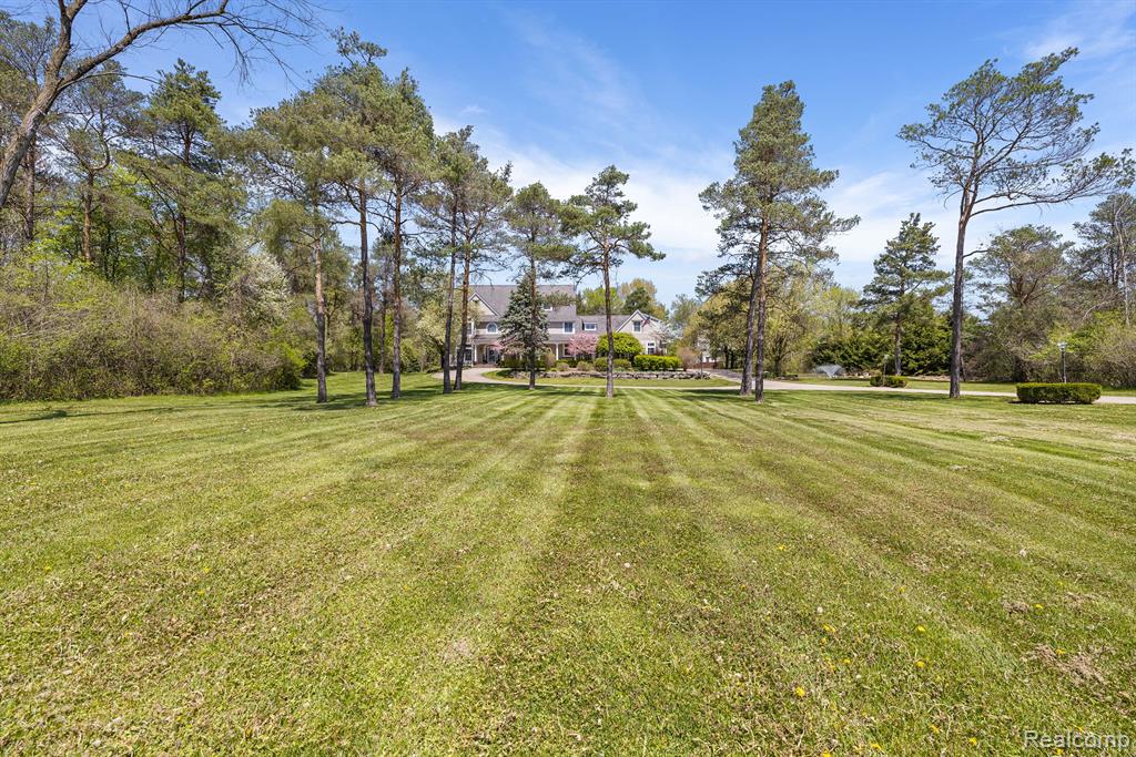 920 Pine Needle Trail