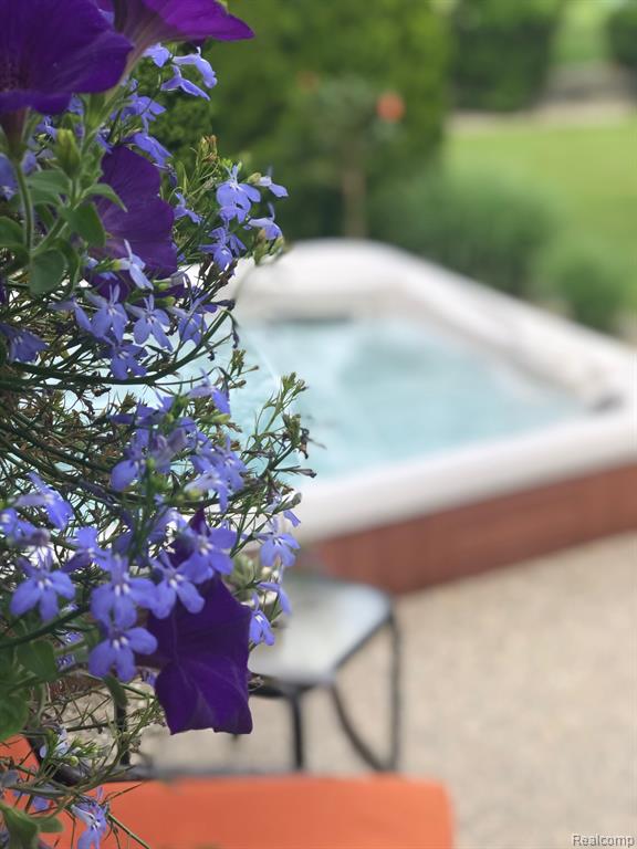 2272 Belle River Road