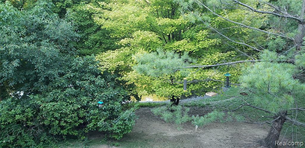 28292 Carlton Way Drive