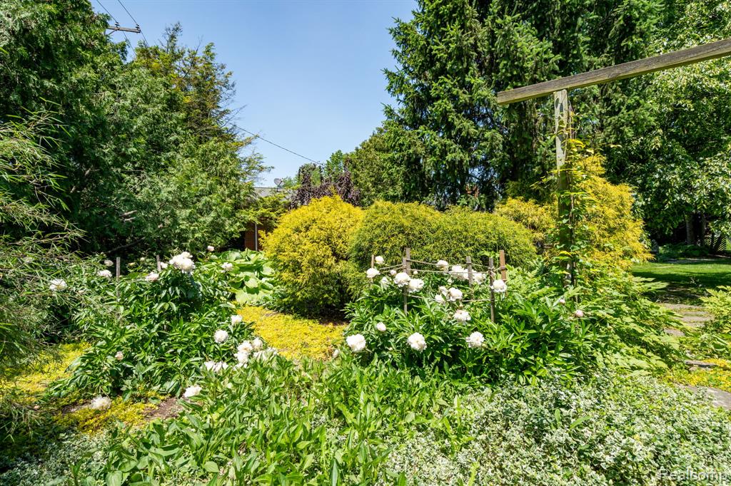 17417 Wiltshire Boulevard