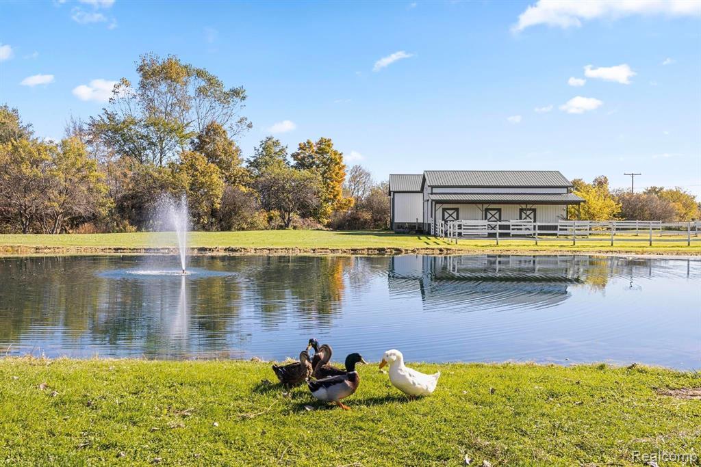 3985 Wadhams Road