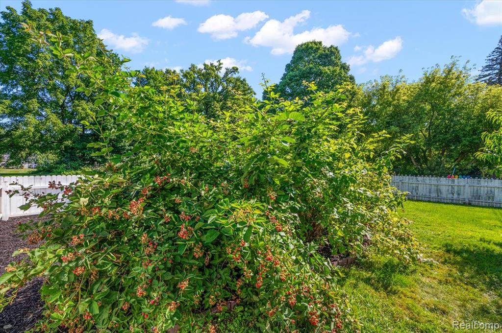 174 W Hollister Street