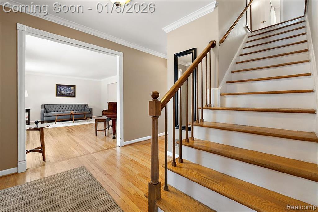 52330 Scotch Pine Court