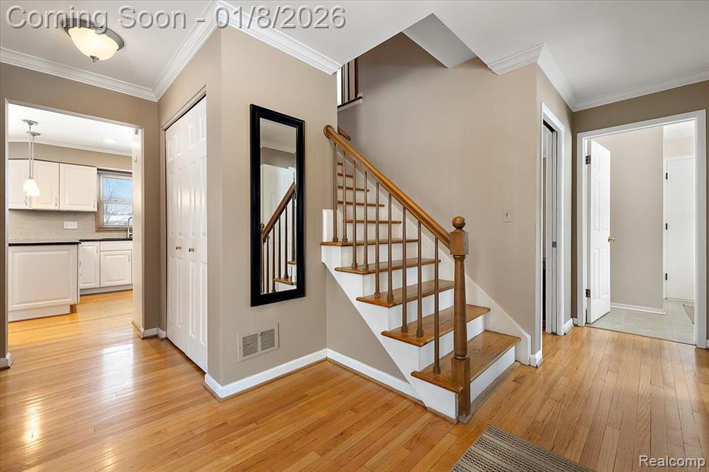 52330 Scotch Pine Court