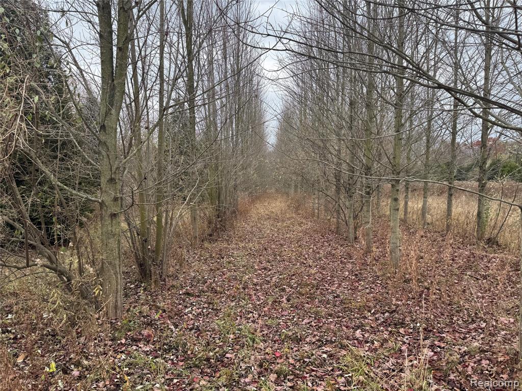 00 Remer Road