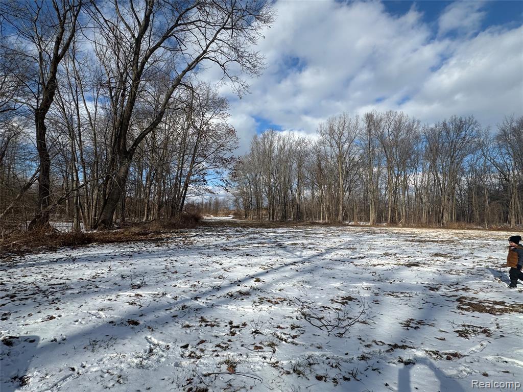 01 Remer Road
