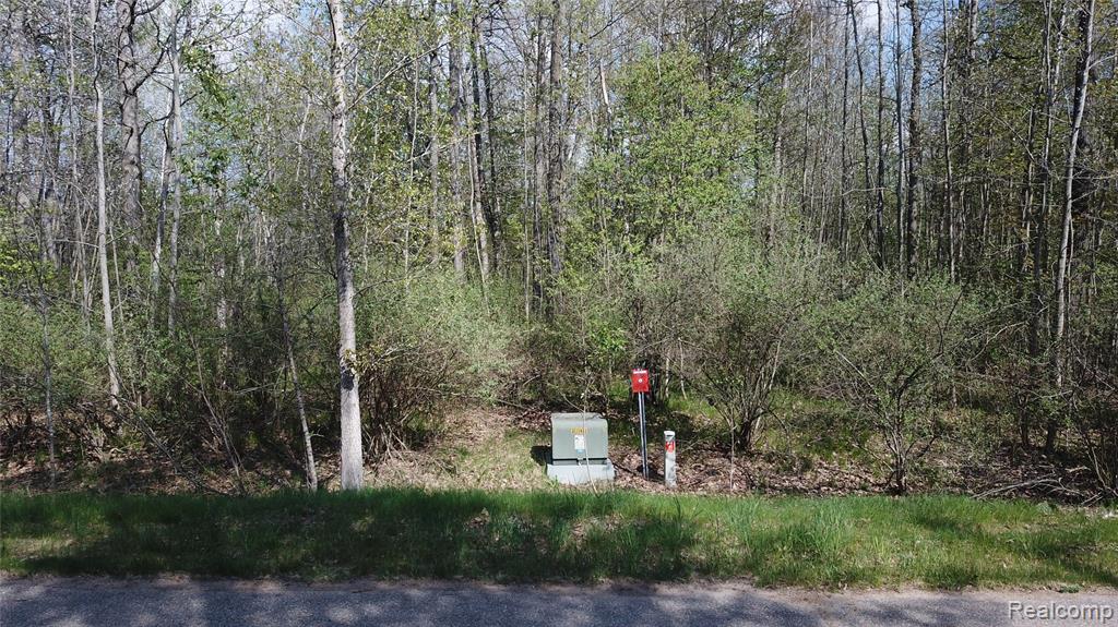 LOT 13 Oak Ridge Court