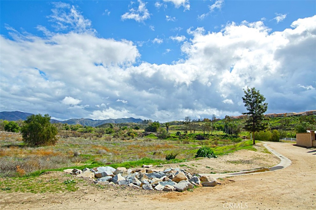31395 Taylor Lane
