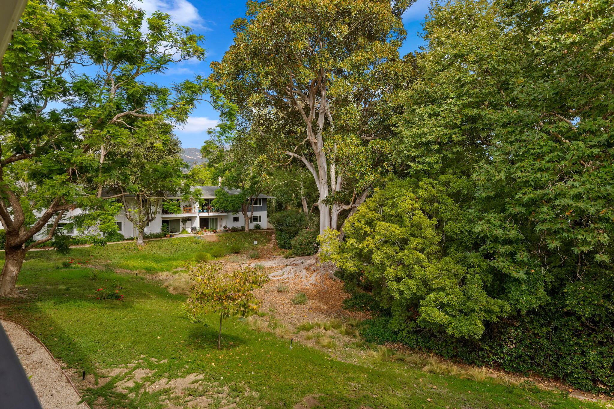 3639 San Remo Drive, 16