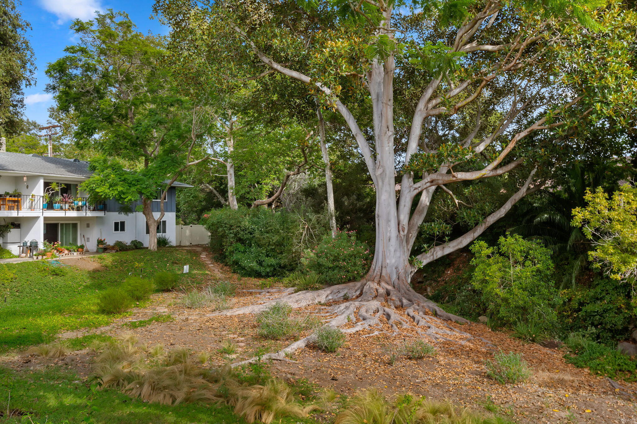 3639 San Remo Drive, 16