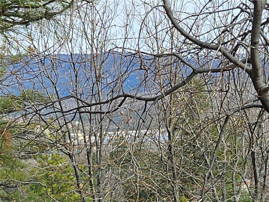 27782 St Bernard Lane