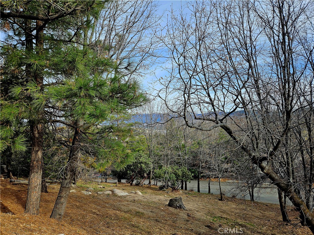 27782 St Bernard Lane