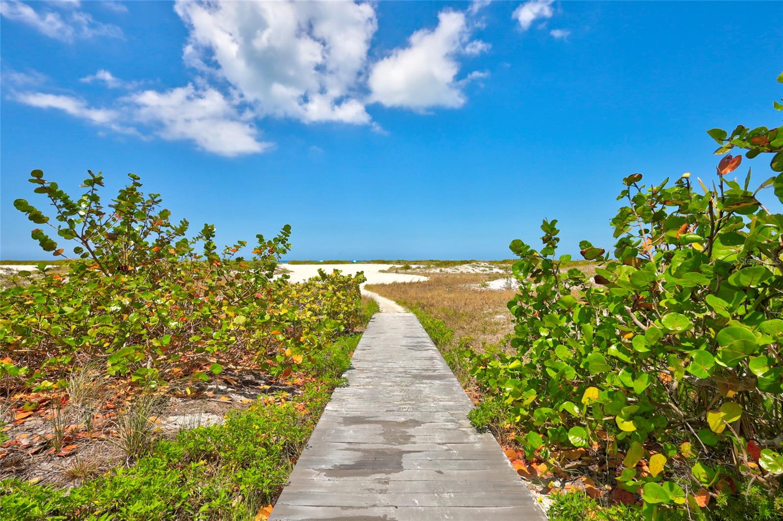 1290 GULF BLVD #1604