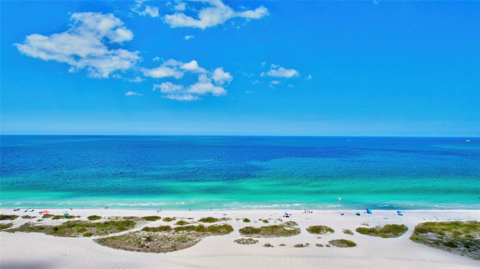 1290 GULF BLVD #1604
