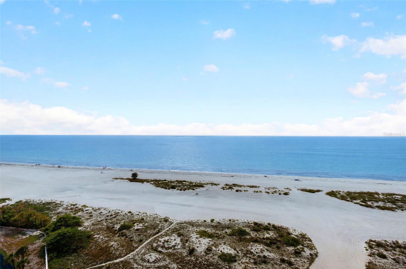 1290 GULF BLVD #1604