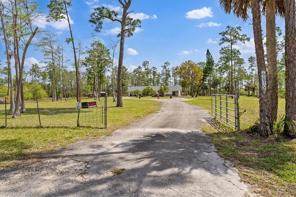 6070 Lee Williams RD