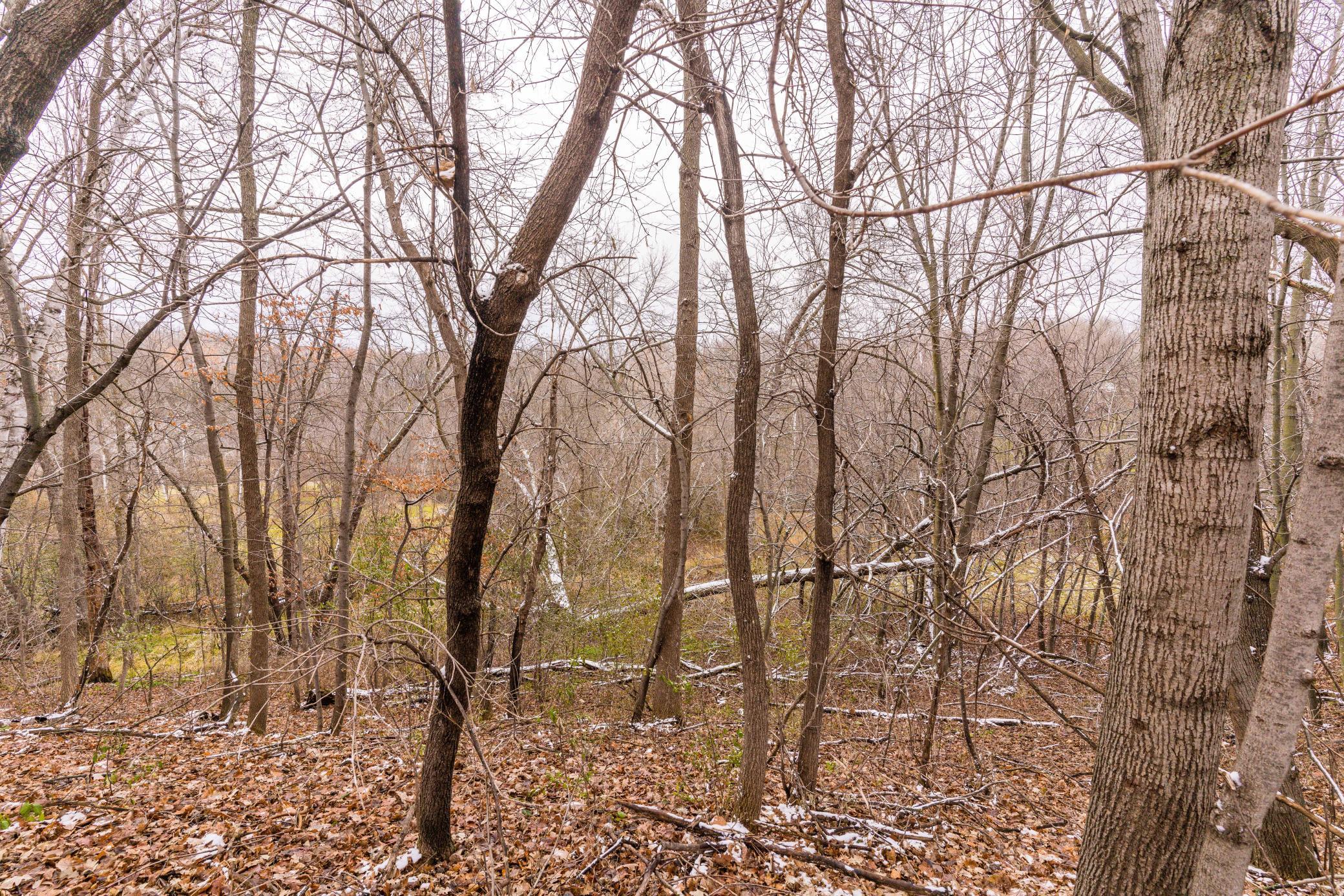 23163 Birchwood Estates Road