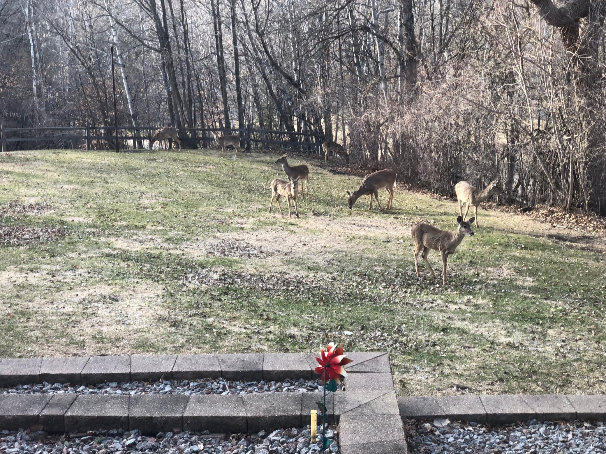 23163 Birchwood Estates Road